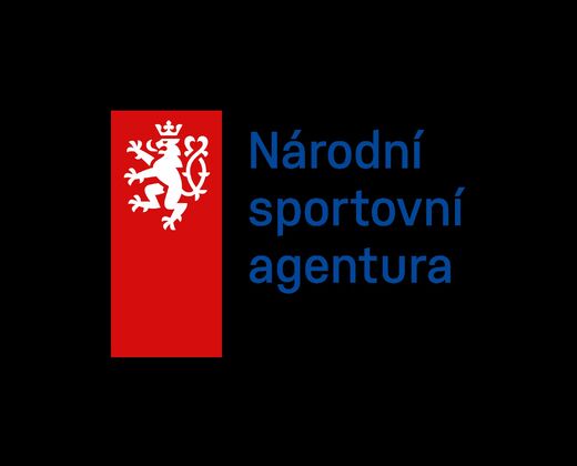 LOGO NSA_Nové 2026